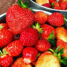 Load image into Gallery viewer, Custom Tea Blend - 15 Tea Bags