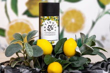 Load image into Gallery viewer, Well Rooted