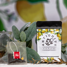 Load image into Gallery viewer, Detox on the Daily