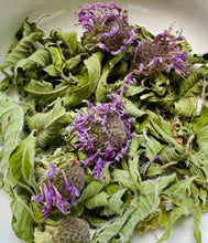 Load image into Gallery viewer, Bee Balm Oswego
